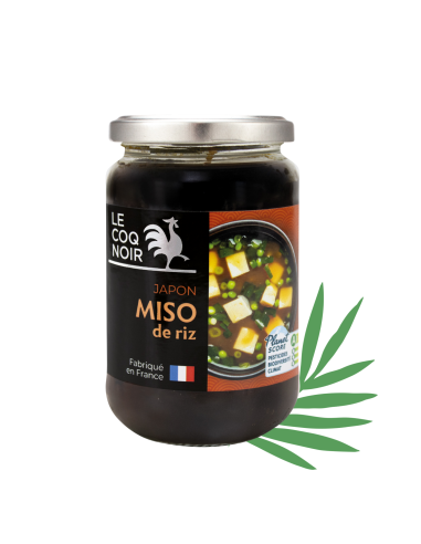 MISO DE RIZ