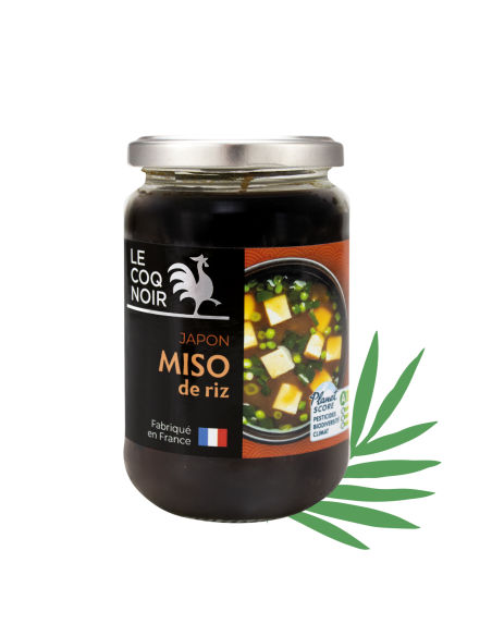MISO DE RIZ