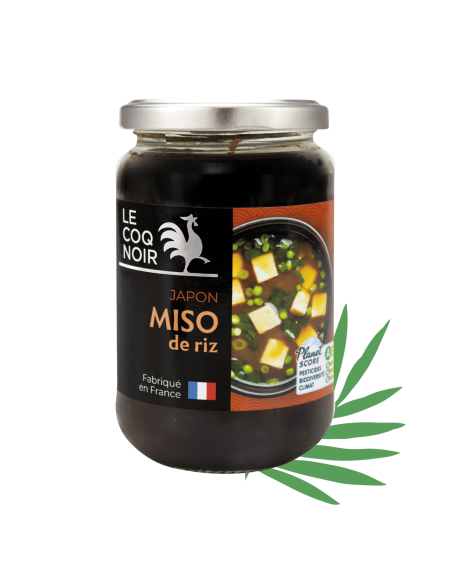 MISO DE RIZ