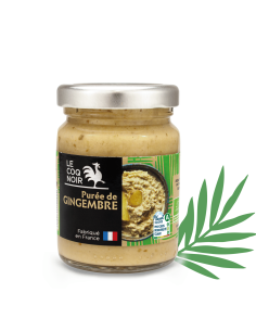 PURÉE DE GINGEMBRE 2