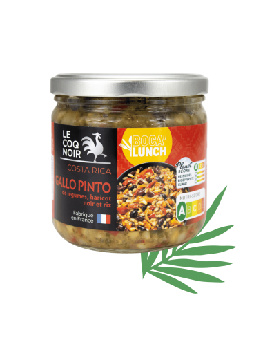 GALLO PINTO DE LÉGUMES, HARICOTS NOIRS ET RIZ -...