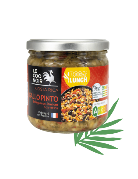 GALLO PINTO DE LÉGUMES, HARICOTS NOIRS ET RIZ - BOCA LUNCH