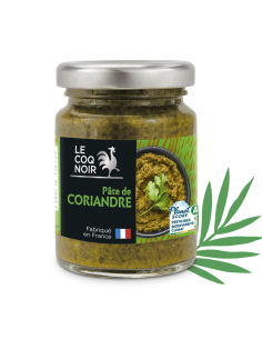 PÂTE DE CORIANDRE 2